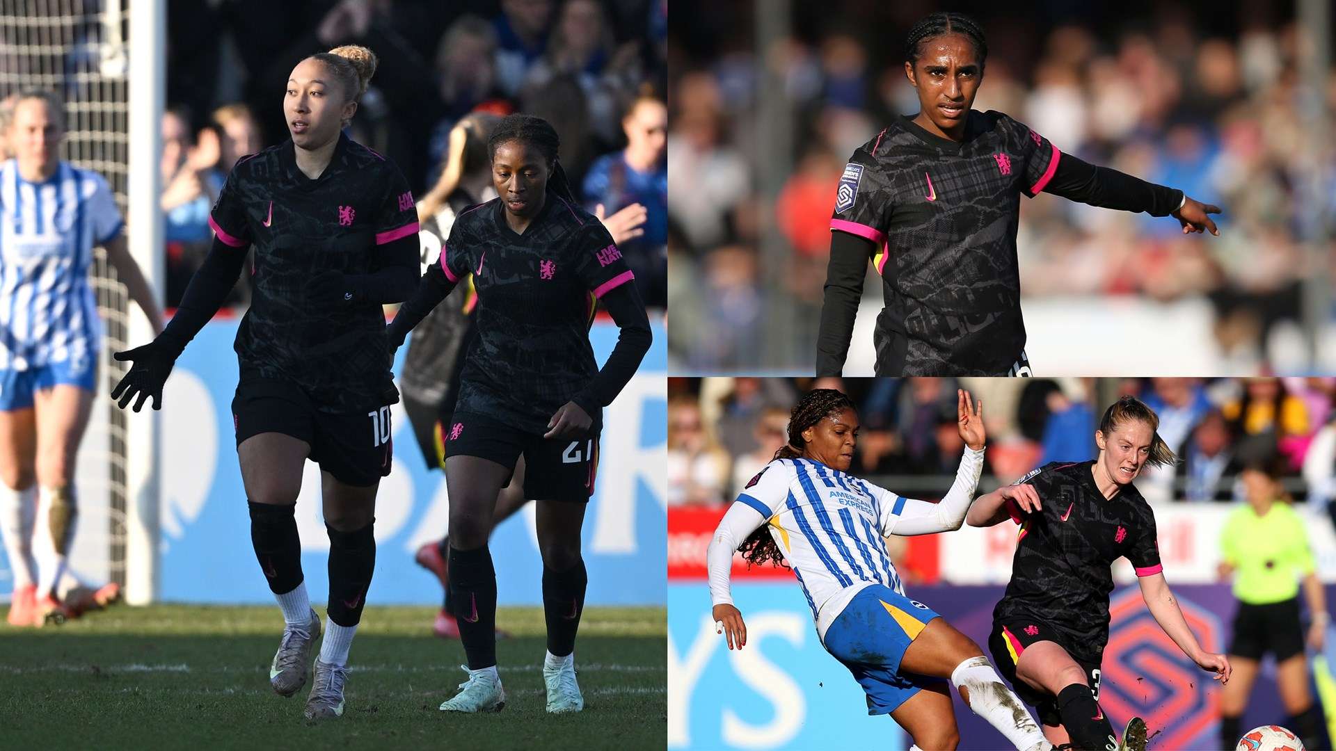 启迪和借鉴 启迪和借鉴