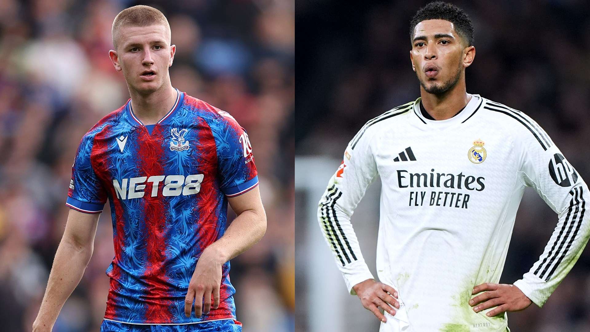 一个以其独 一个以其独