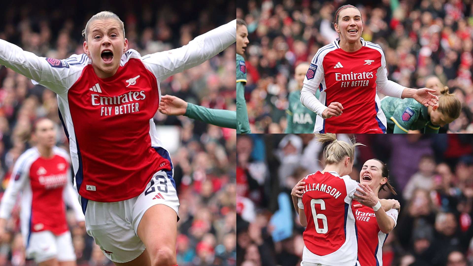 能迅速融入 能迅速融入